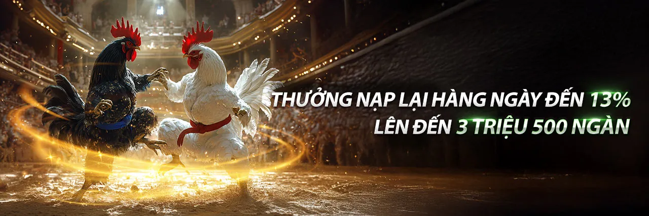 Hình ảnh đá gà trực tiếp sôi động tại 66b