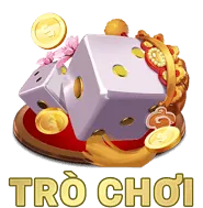 Hướng dẫn và chiến lược