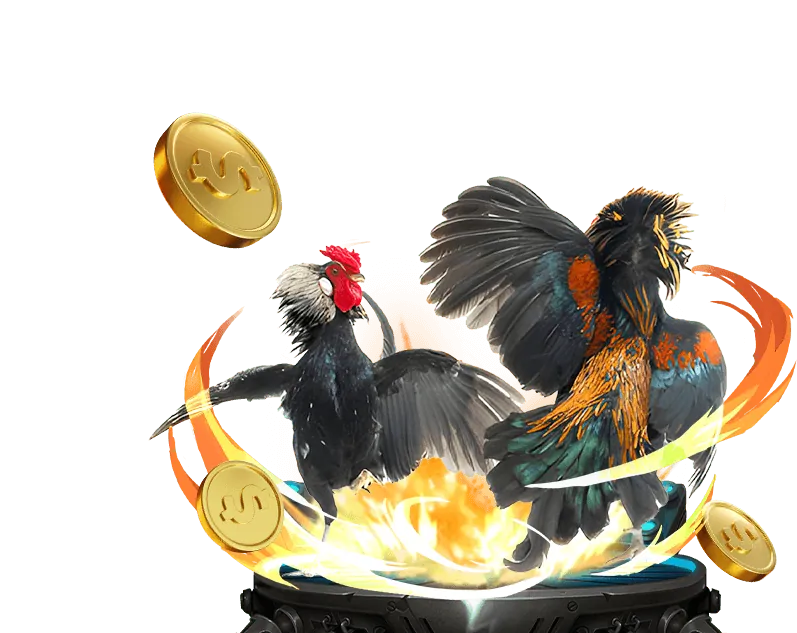 Hình ảnh các chiến kê đa dạng từ nhiều trường gà khác nhau, biểu trưng cho sự phong phú của các trận đấu đá gà tại 66b.