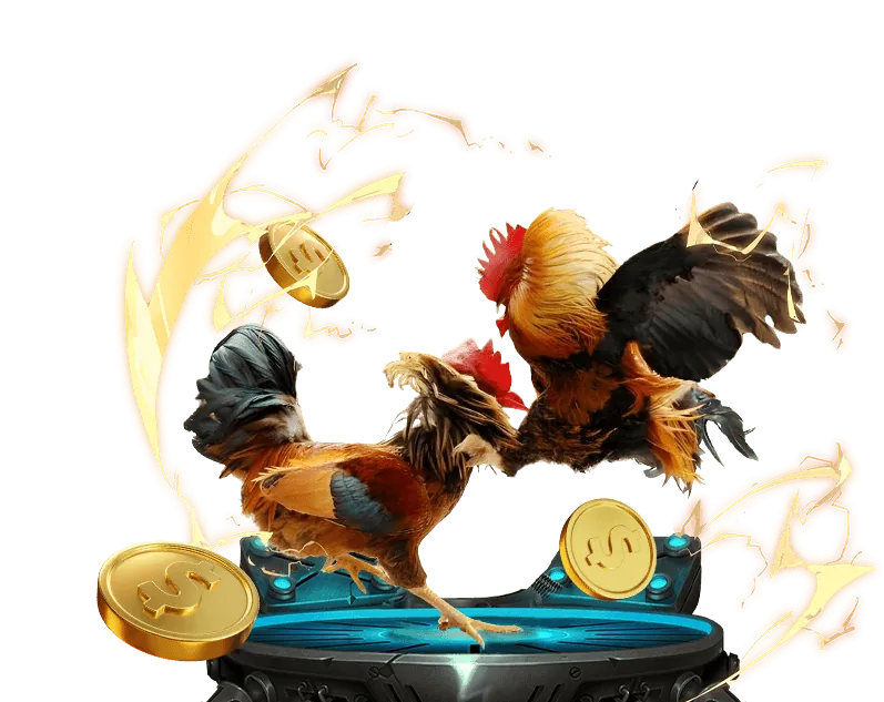 Hình ảnh màn hình máy tính hiển thị trận đá gà trực tiếp chất lượng cao với logo 66b.